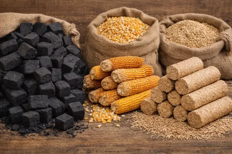 Sustainable Materials & Biomass Resources